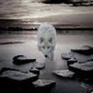 Meet your Posher, Gloria